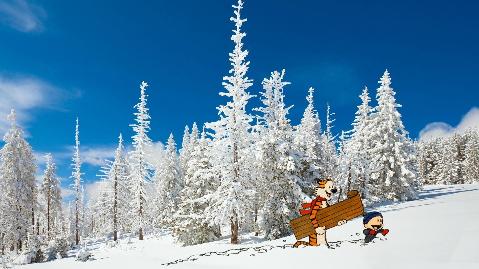 Calvin e Hobbes slitta neve, 1920x1080 Full HD 1080p, PC