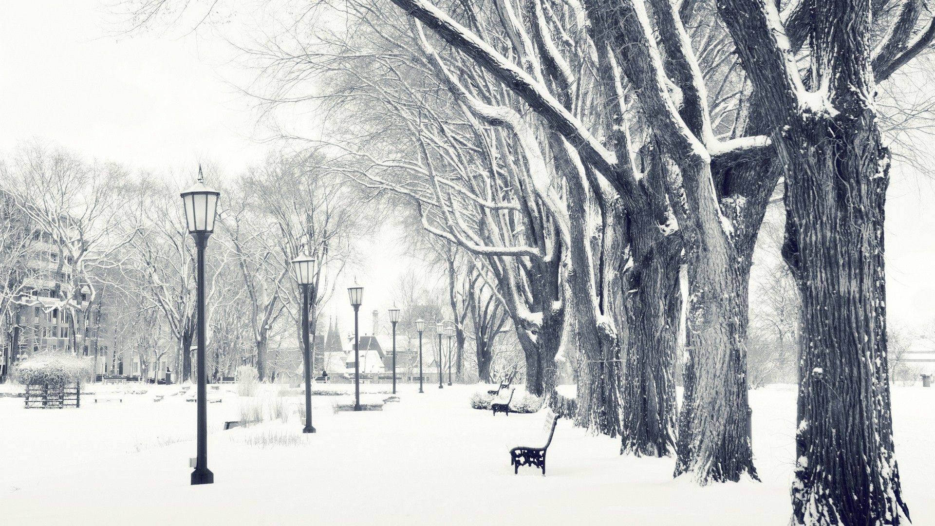 Parco innevato con lampioni, 1920x1080 Full HD, Monitor Gaming