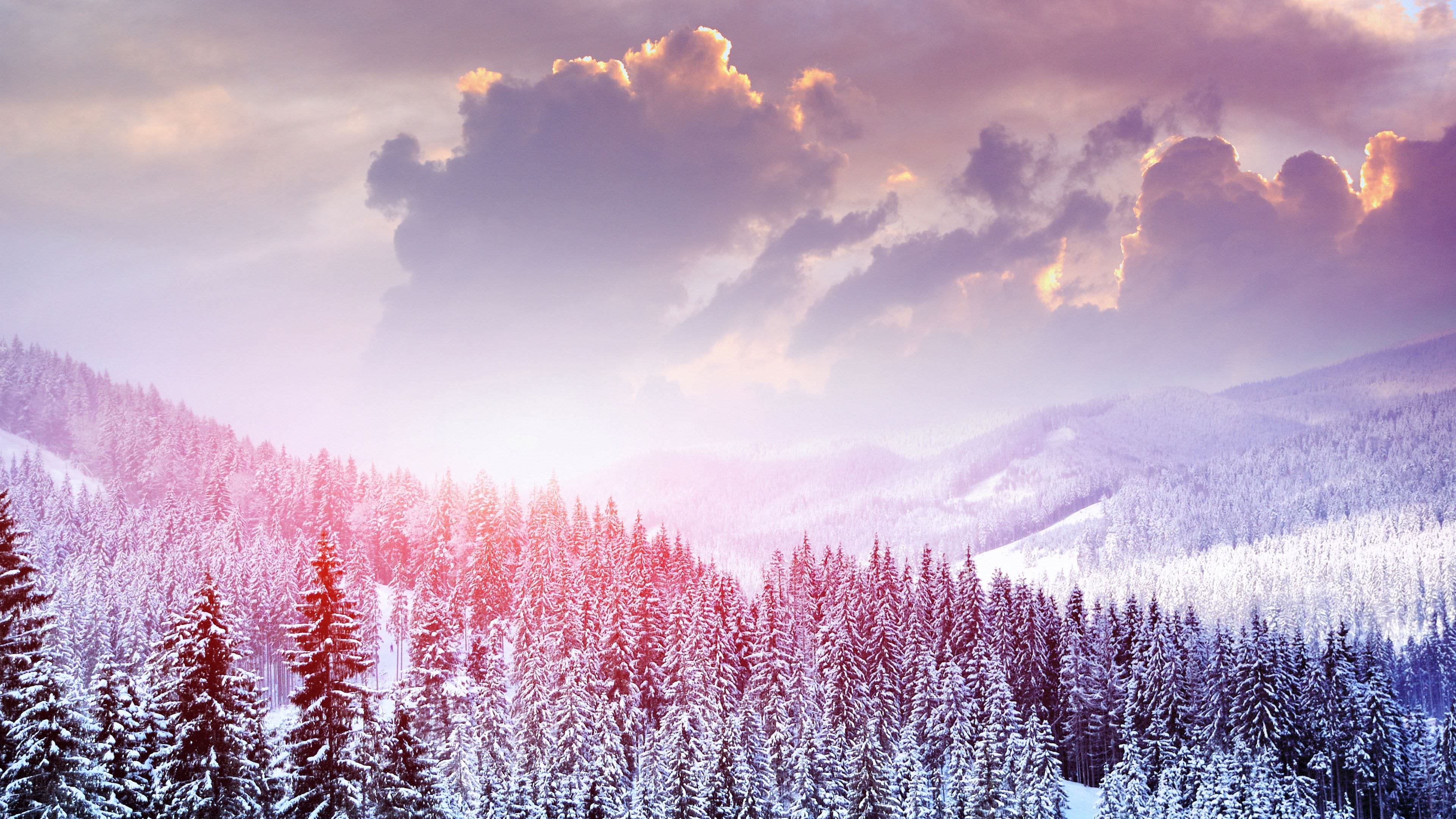 Foresta innevata con tramonto rosa, 3840x2160 4K, Monitor 4K