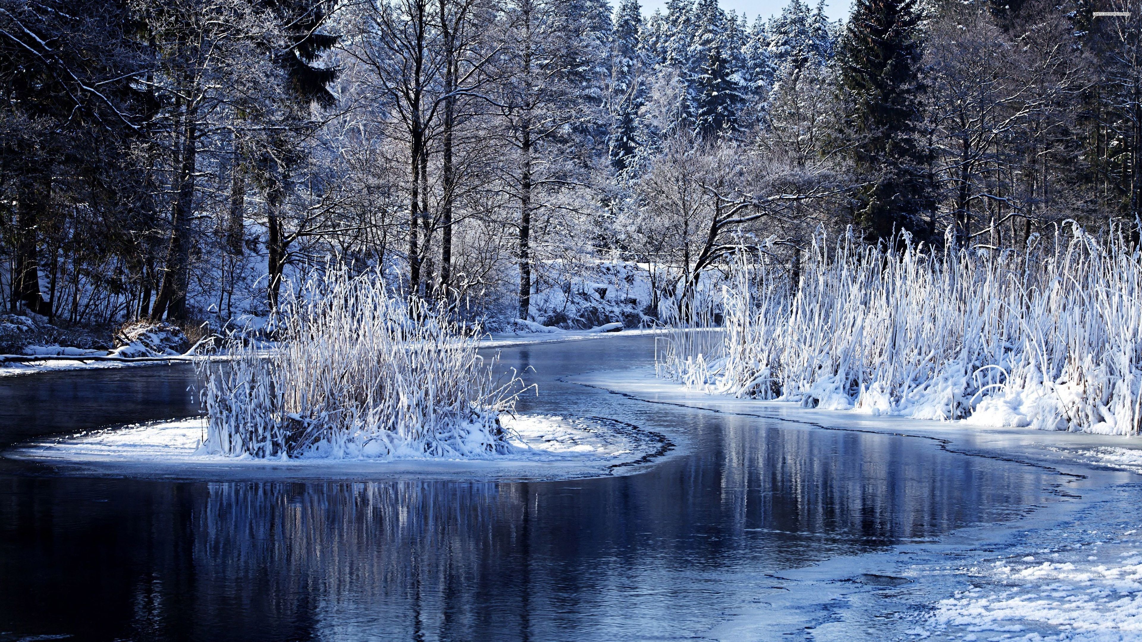 Fiume innevato nel bosco, 3840x2160 Ultra HD, 4K TV