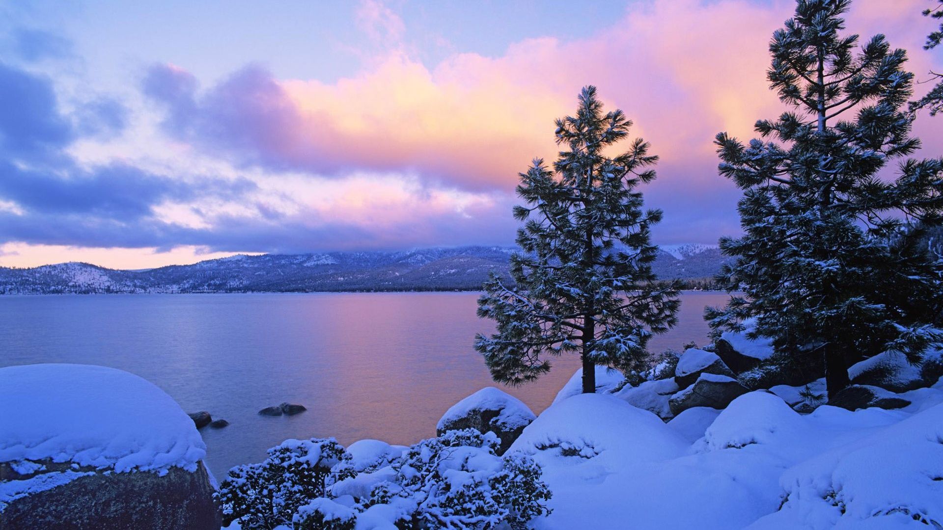 Lago innevato con pini, 1920x1080 Full HD 1080p, Laptop
