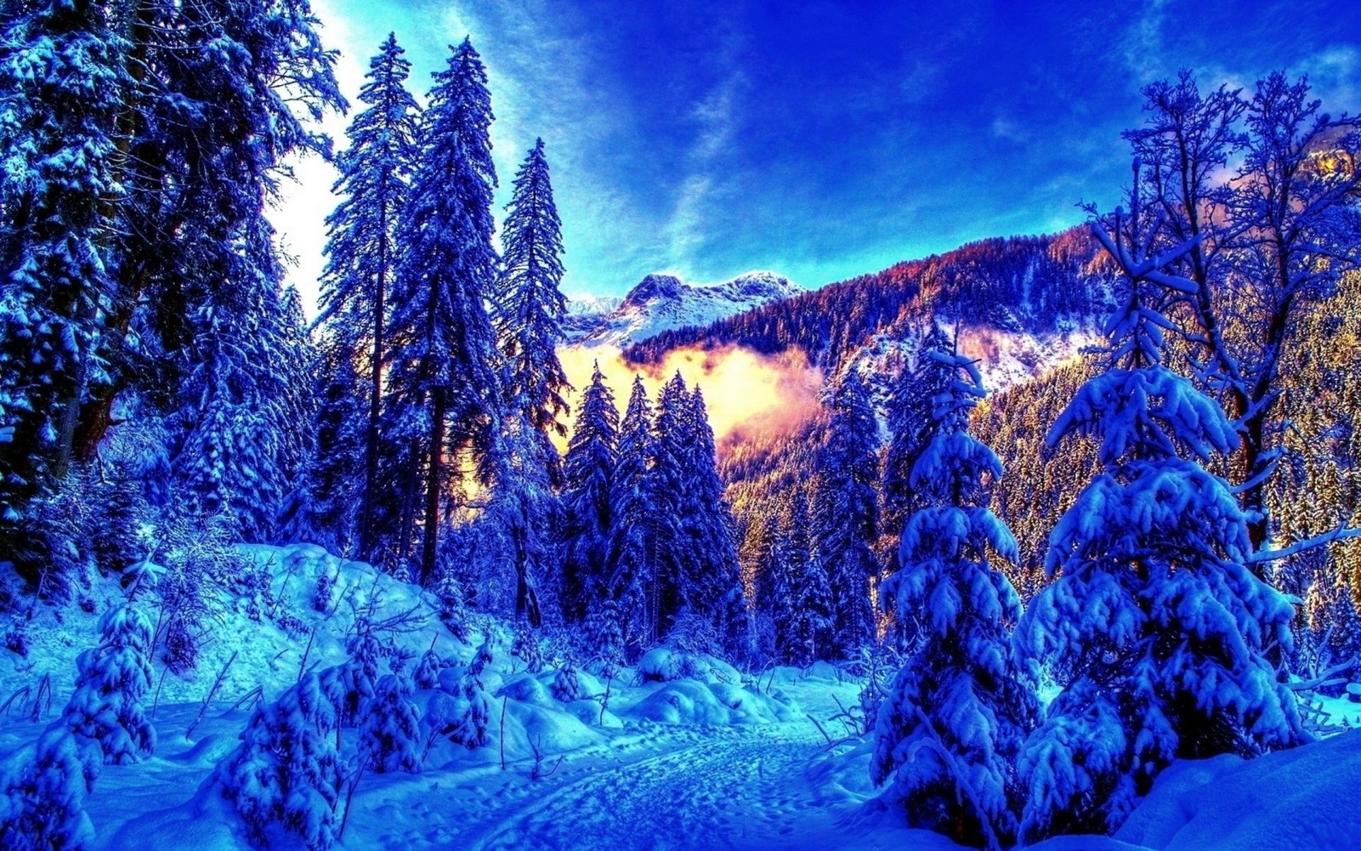Foresta innevata al tramonto, 1920x1200 WUXGA, Desktop