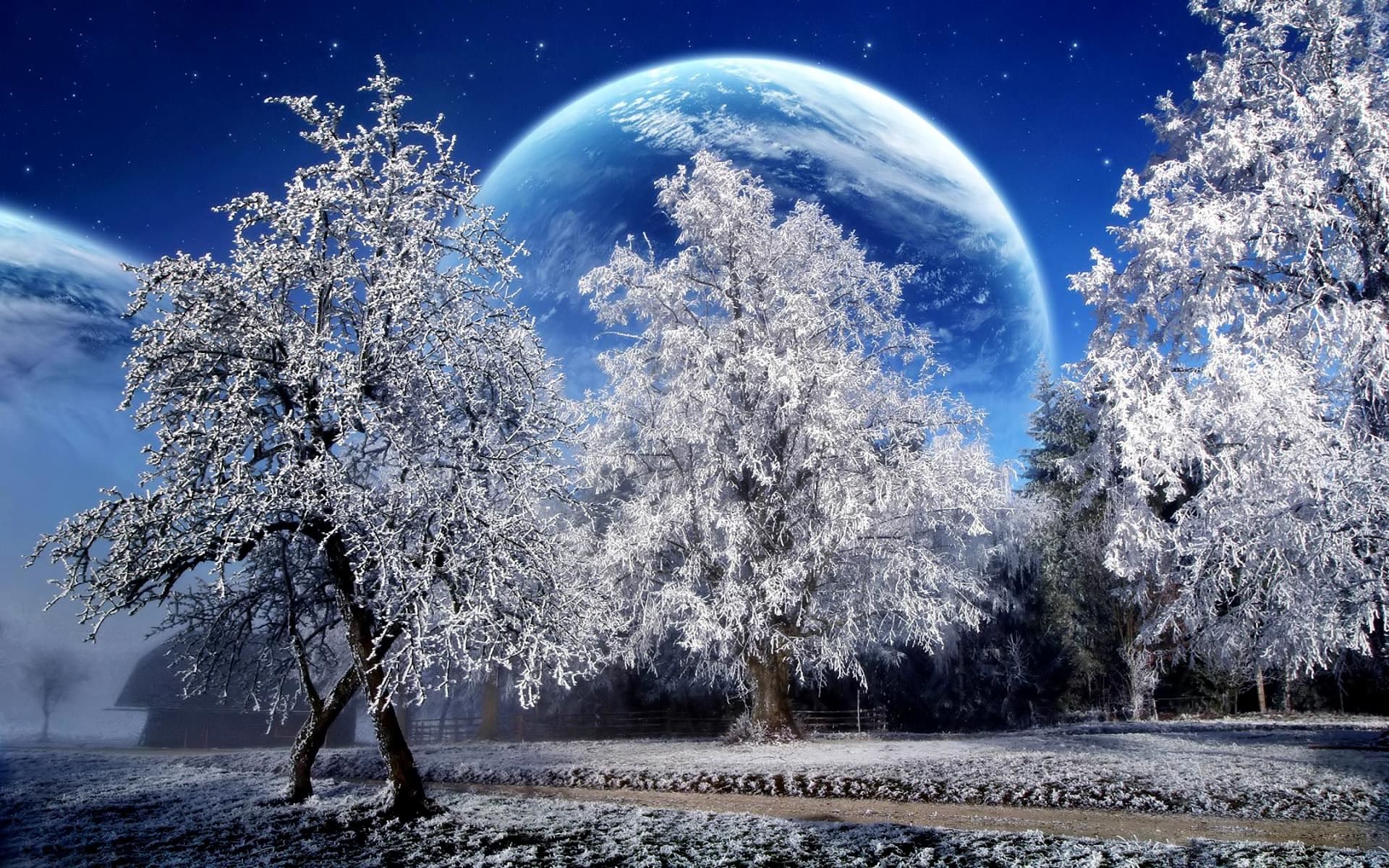 Alberi innevati con pianeta gigante, 1920x1200 Full HD+, PC