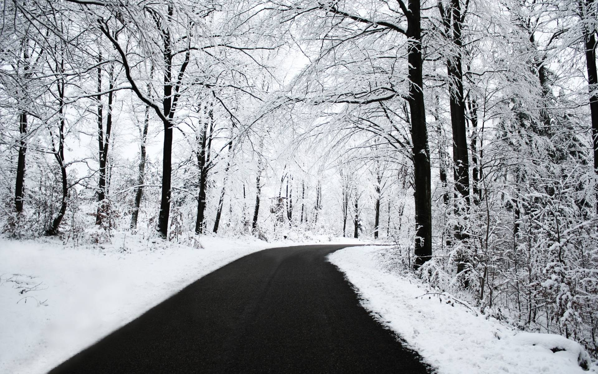 Strada innevata nel bosco, 1920x1200 Full HD+ WUXGA, PC