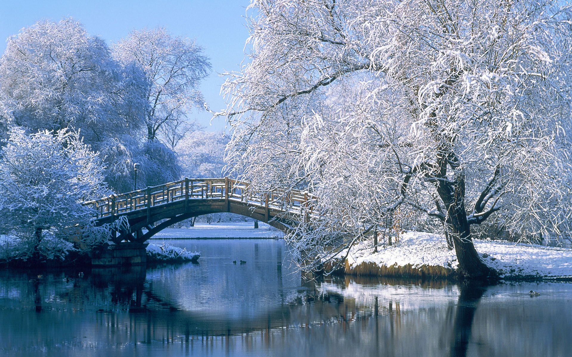 Ponte di legno innevato, 1920x1200 Full HD+ WUXGA, PC Desktop