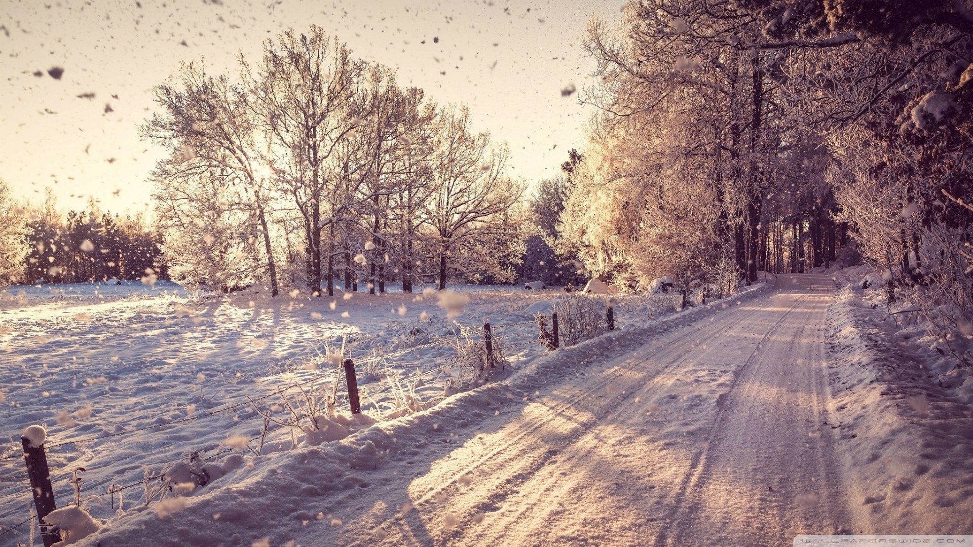 Strada innevata con alberi, 1920x1080 1080p, Desktop