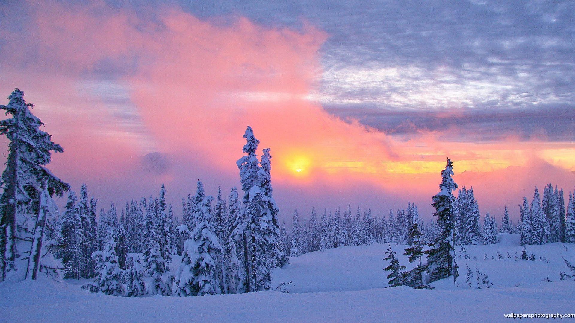 Tramonto invernale innevato con abeti, 1920x1080 Full HD 1080p, Desktop