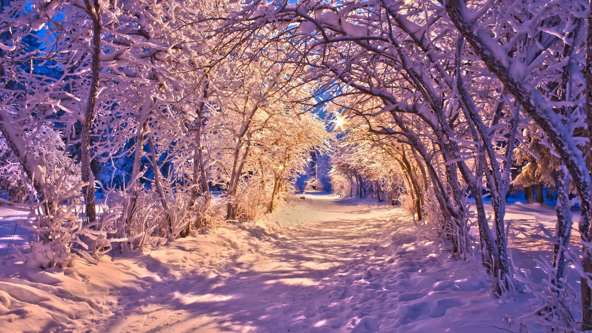 Sentiero innevato tra alberi, 1920x1080 Full HD, Desktop