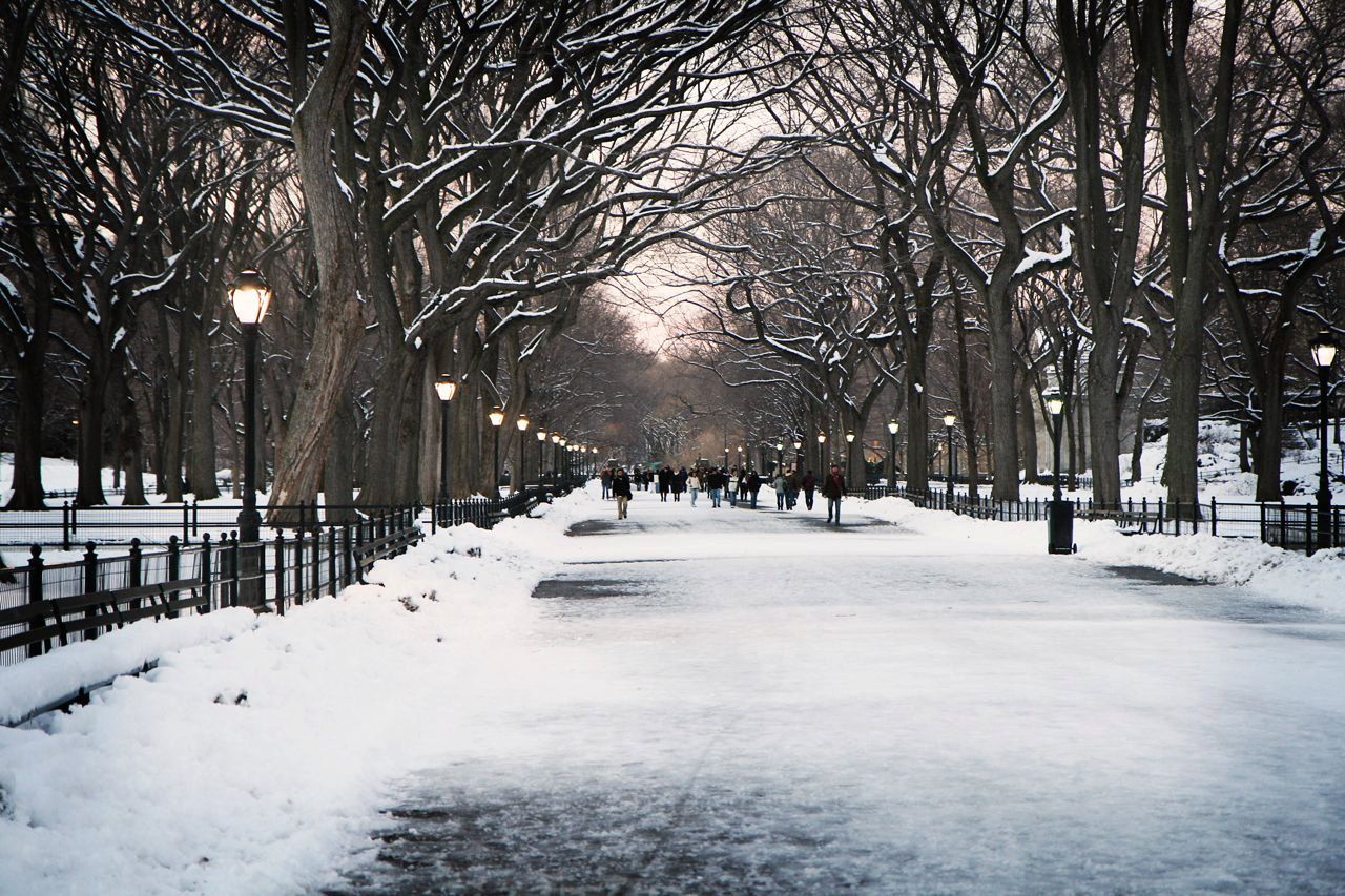 Central Park innevato New York, 1280x853 HD, Desktop