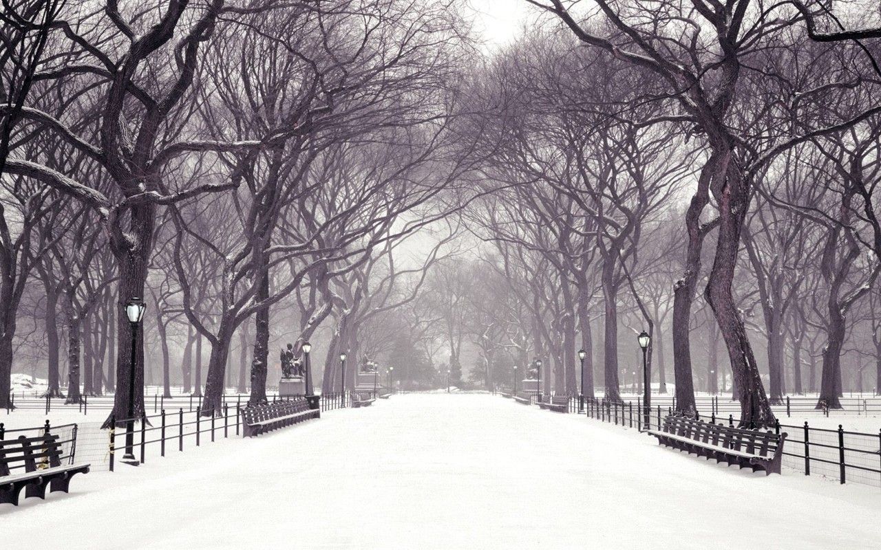 Central Park innevato inverno, 1280x800 720p, PC