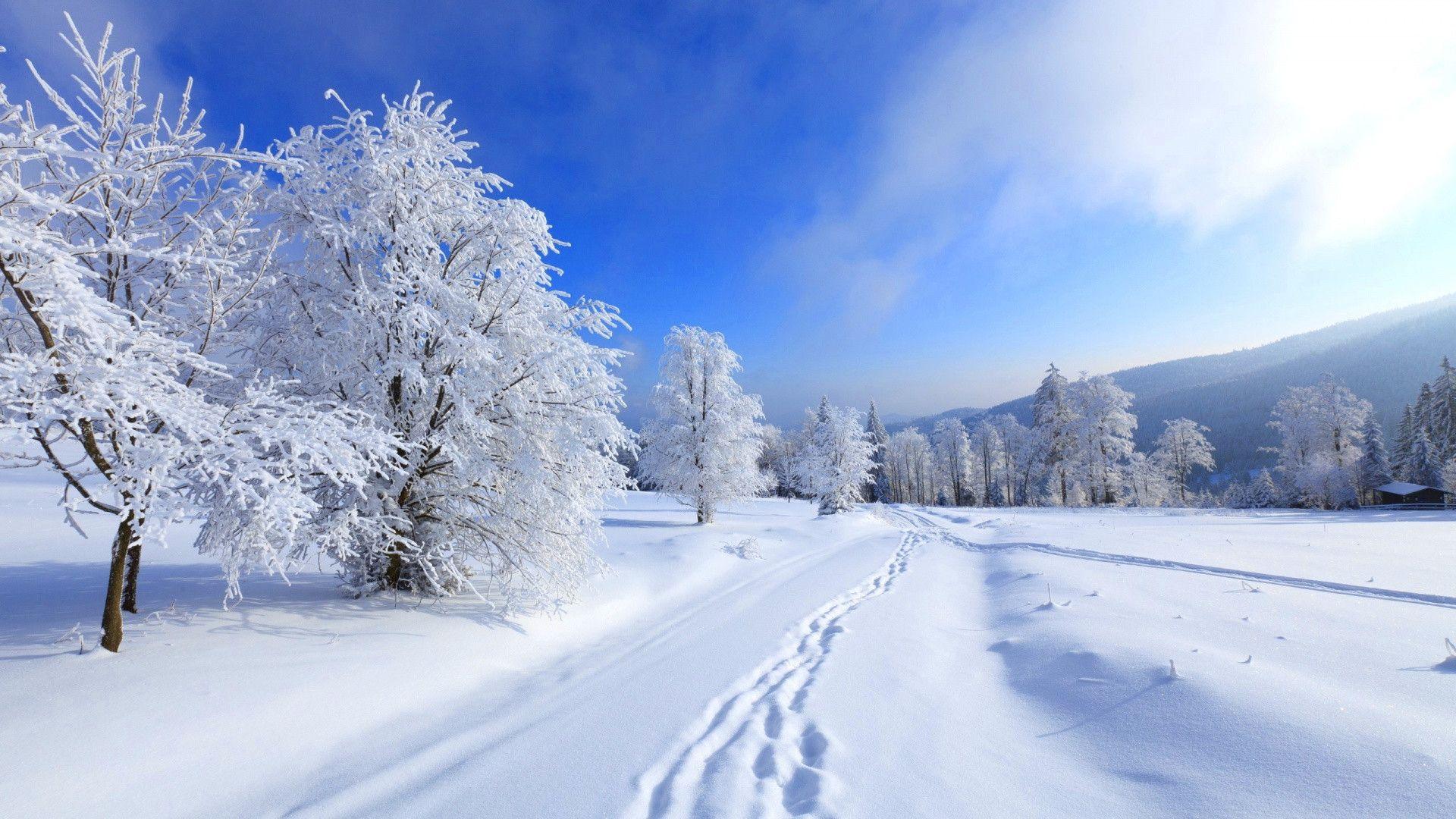 paesaggio innevato con alberi, 1920x1080 Full HD, Laptop