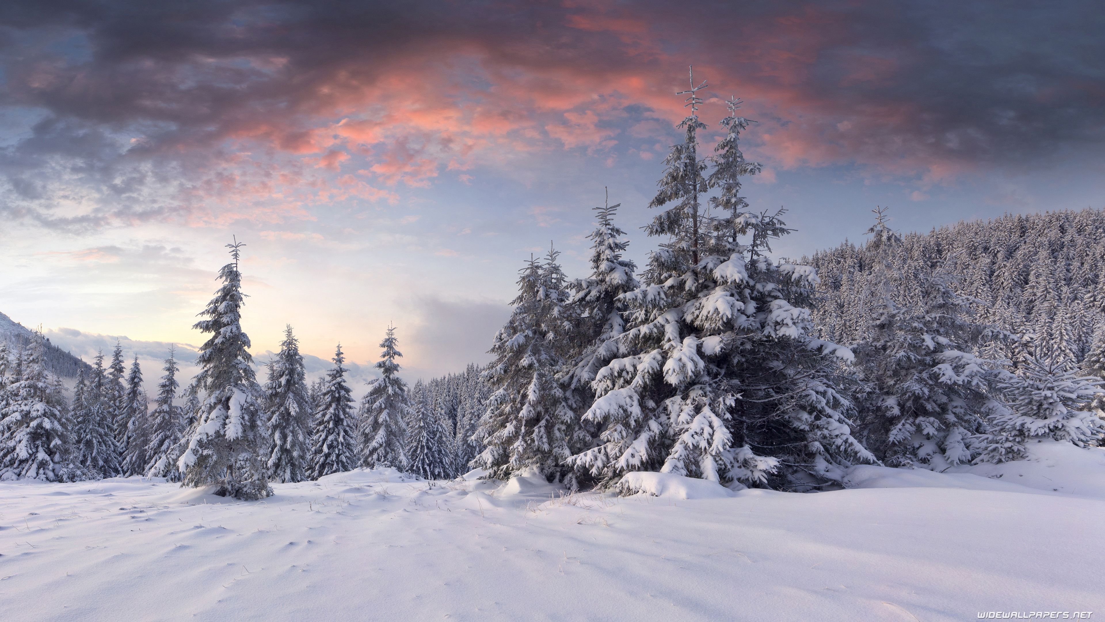 Foresta innevata al tramonto, 3840x2160 UHD, PC 4K