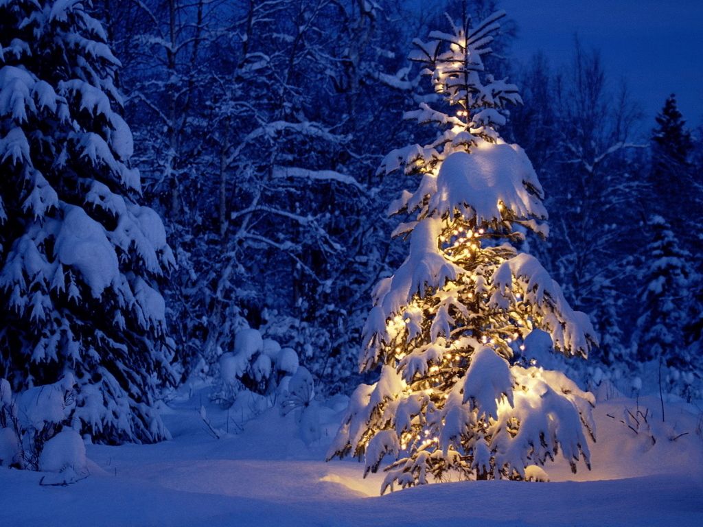 Albero innevato con luci natalizie, 1024x768 HD, iMac