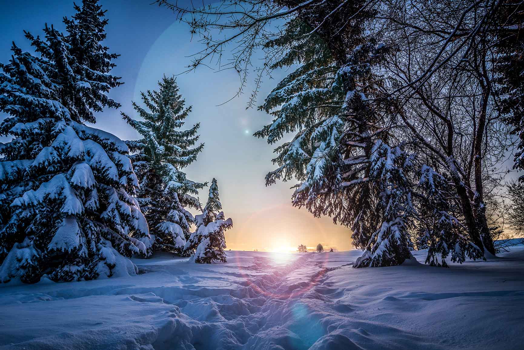 Tramonto invernale innevato con alberi, 1730x1155 900p, Laptop