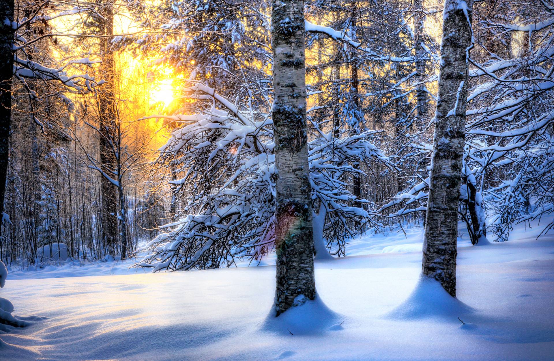 Bosco innevato al tramonto, 1920x1250 Full HD+ WUXGA, Desktop