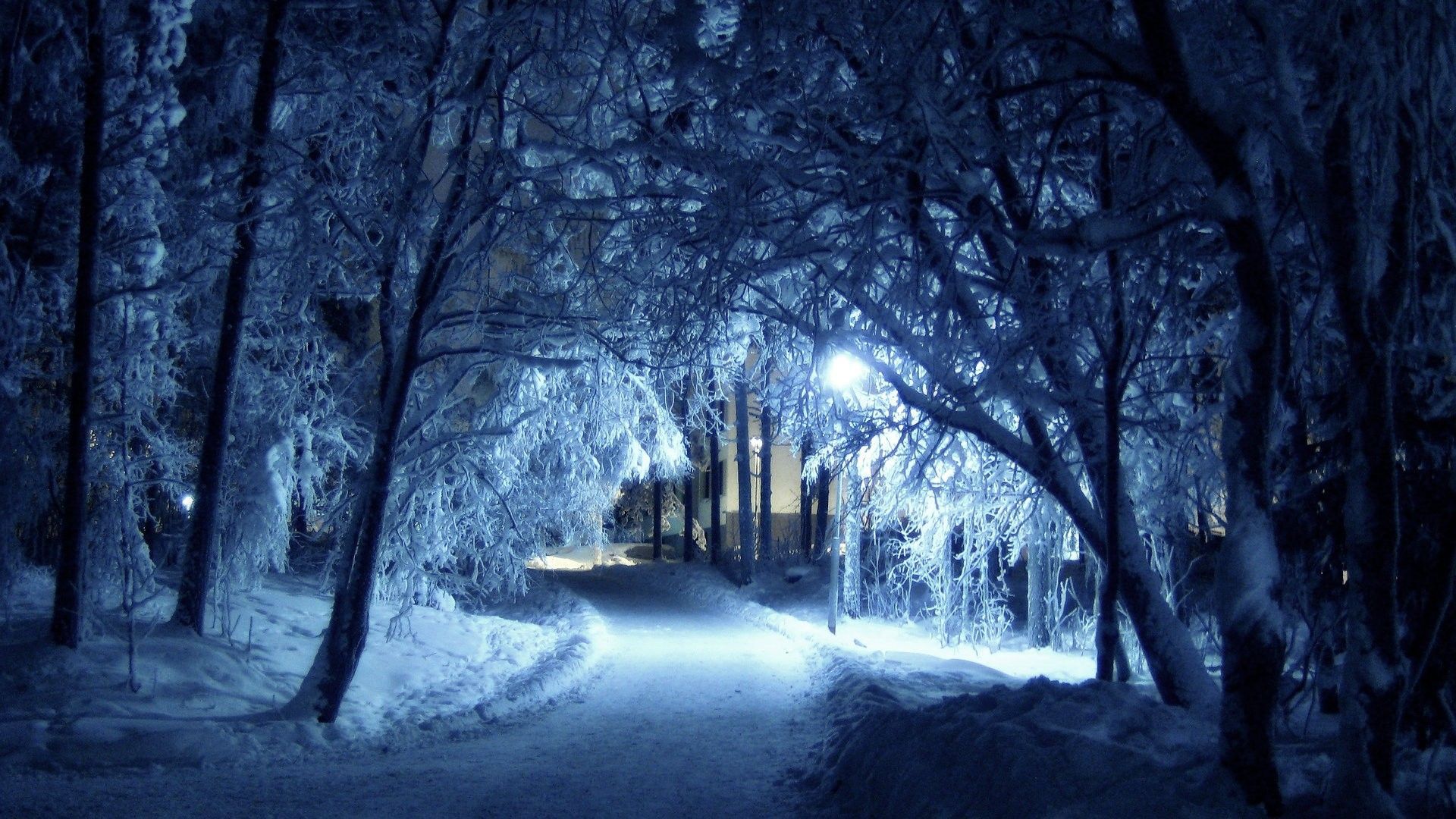 Sentiero innevato notturno con alberi, 1920x1080 Full HD 1080p, PC