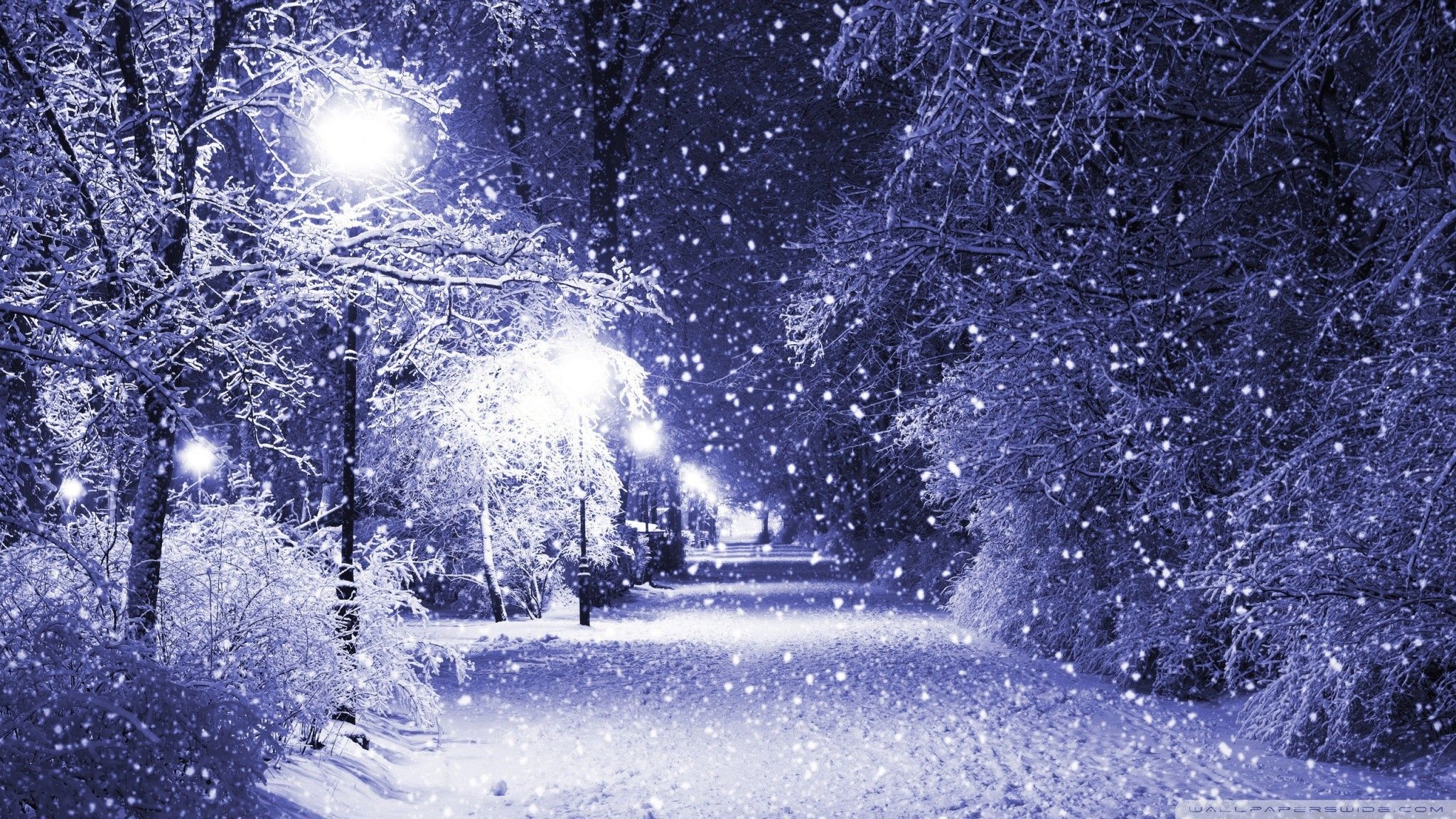 Parco innevato notturno con lampioni, 2048x1152 2K, PC