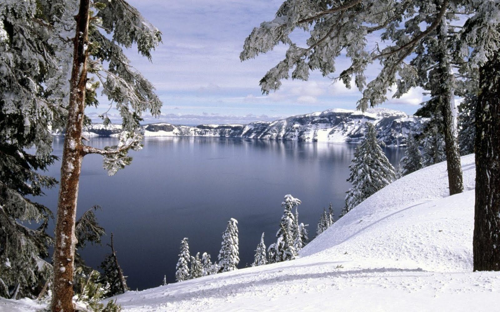 Lago innevato con pini, 1600x1000 900p, PC