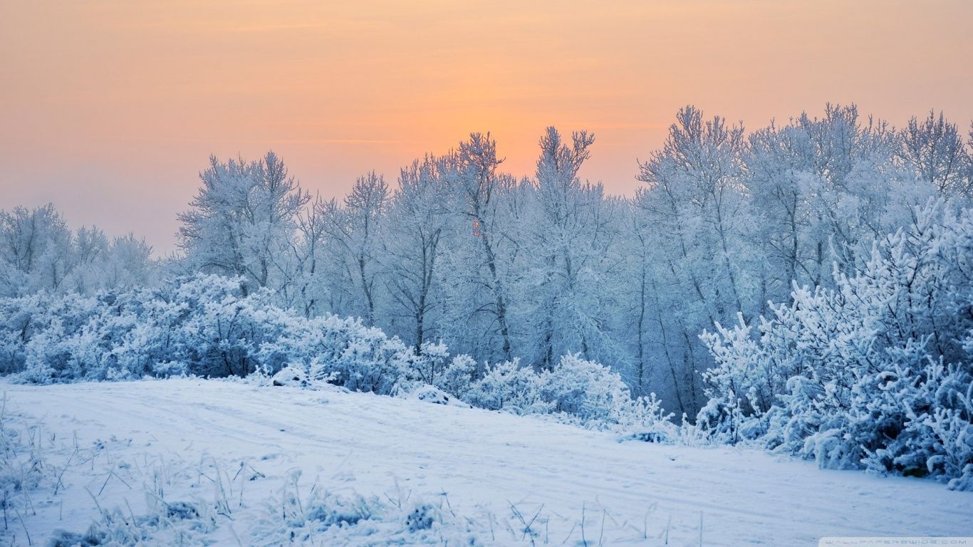 Paesaggio invernale innevato tramonto, 1366x768 HD, PC Desktop