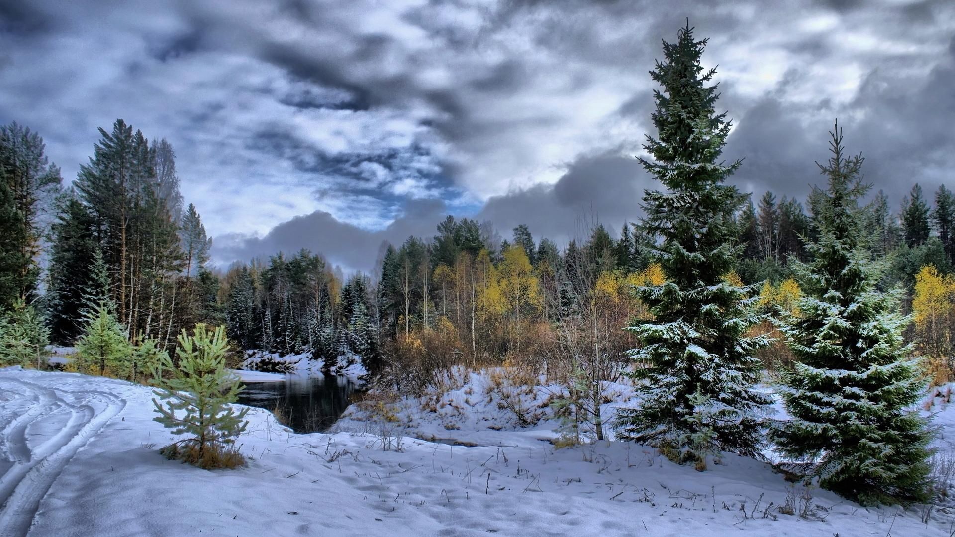 Paesaggio invernale con abeti innevati, 1920x1080 1080p, PC