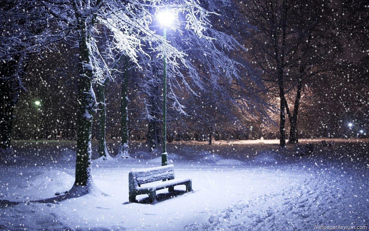 Panchina innevata parco notturno, 1280x800 720p, PC