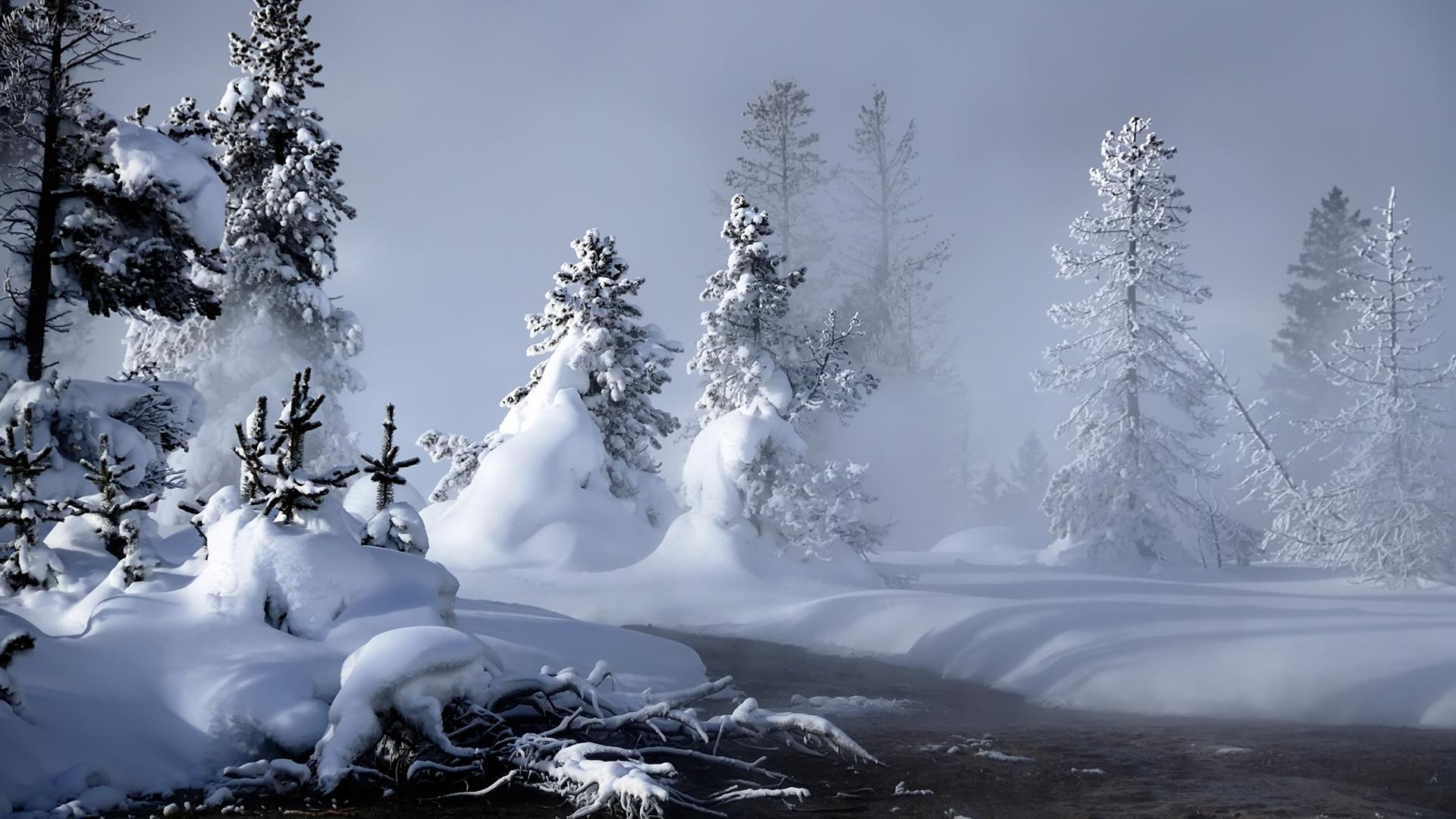 Alberi innevati nella nebbia, 1920x1080 Full HD, PC Desktop