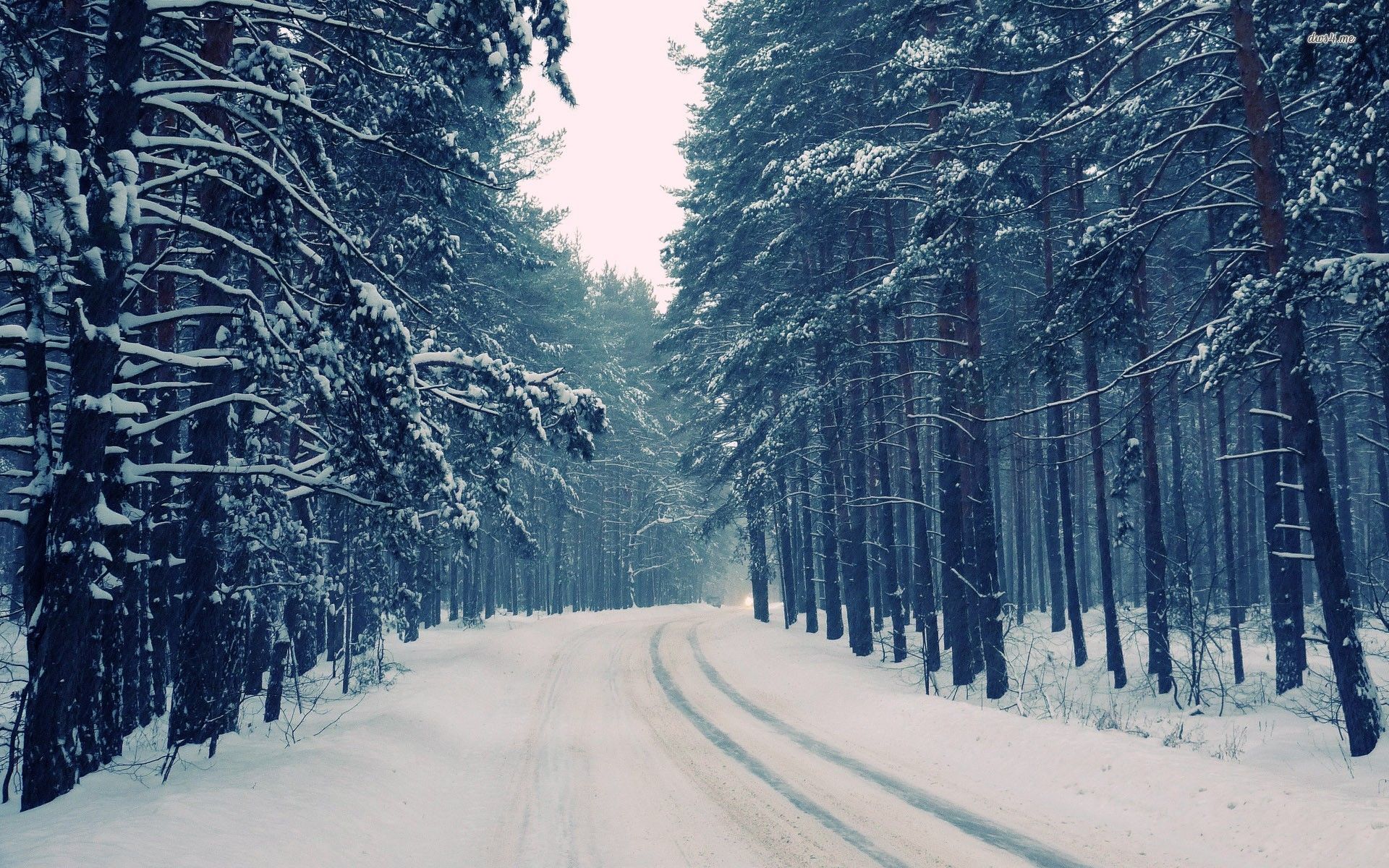 Foresta innevata con strada, 1920x1200 Full HD+ WUXGA, Desktop
