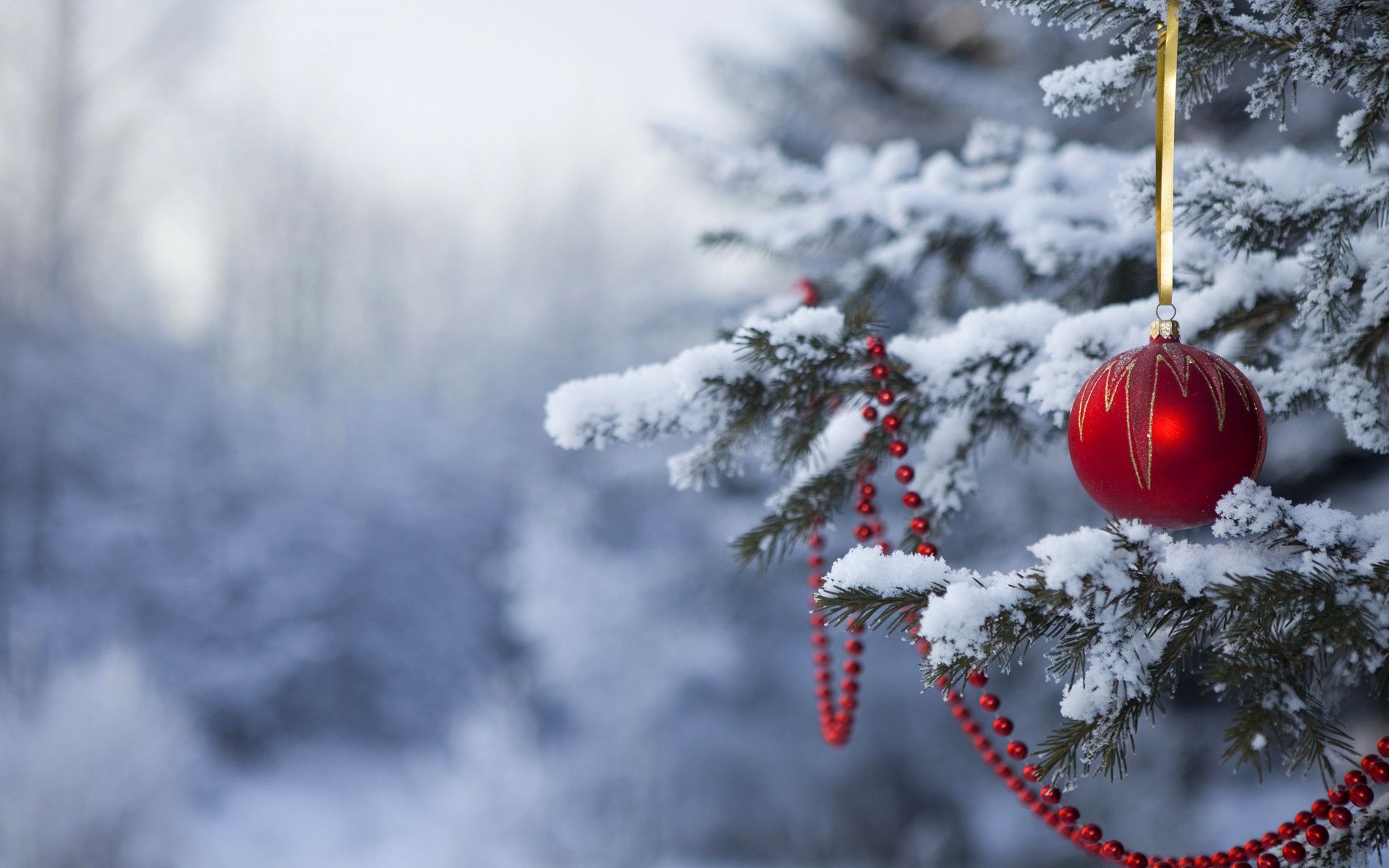Pallina rossa albero innevato, 1920x1200 Full HD+ WUXGA, Desktop