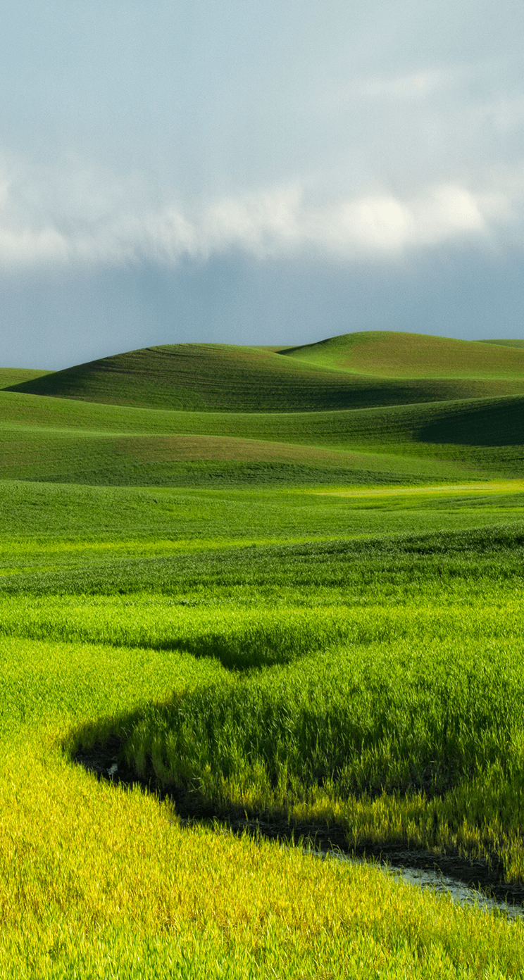 colline verdi con torrente, 744x1392 Full HD Verticale, iPhone Pro Max