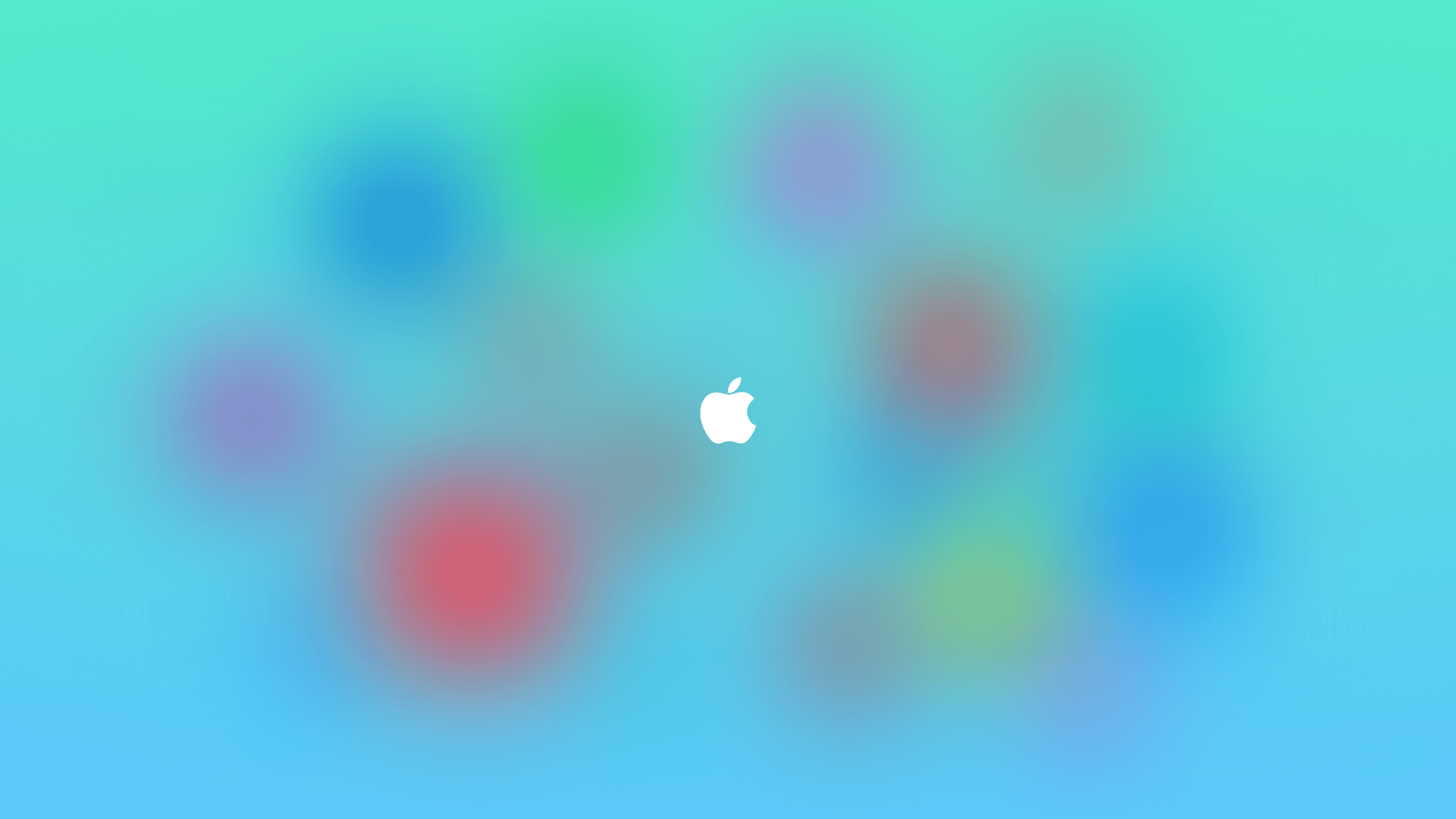 Logo Apple sfocato colorato, 2560x1440 1440p, Monitor Gaming