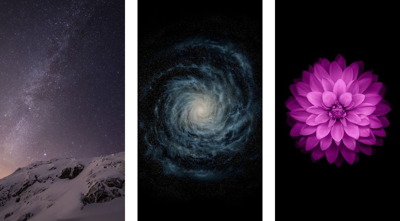 Montagna stellata, galassia, fiore viola, 1280x710 HD, Desktop