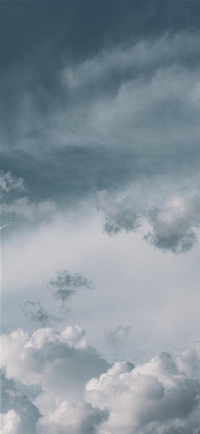 Ragno su vetro appannato, 1000x1781 Full HD Verticale, Smartphone
