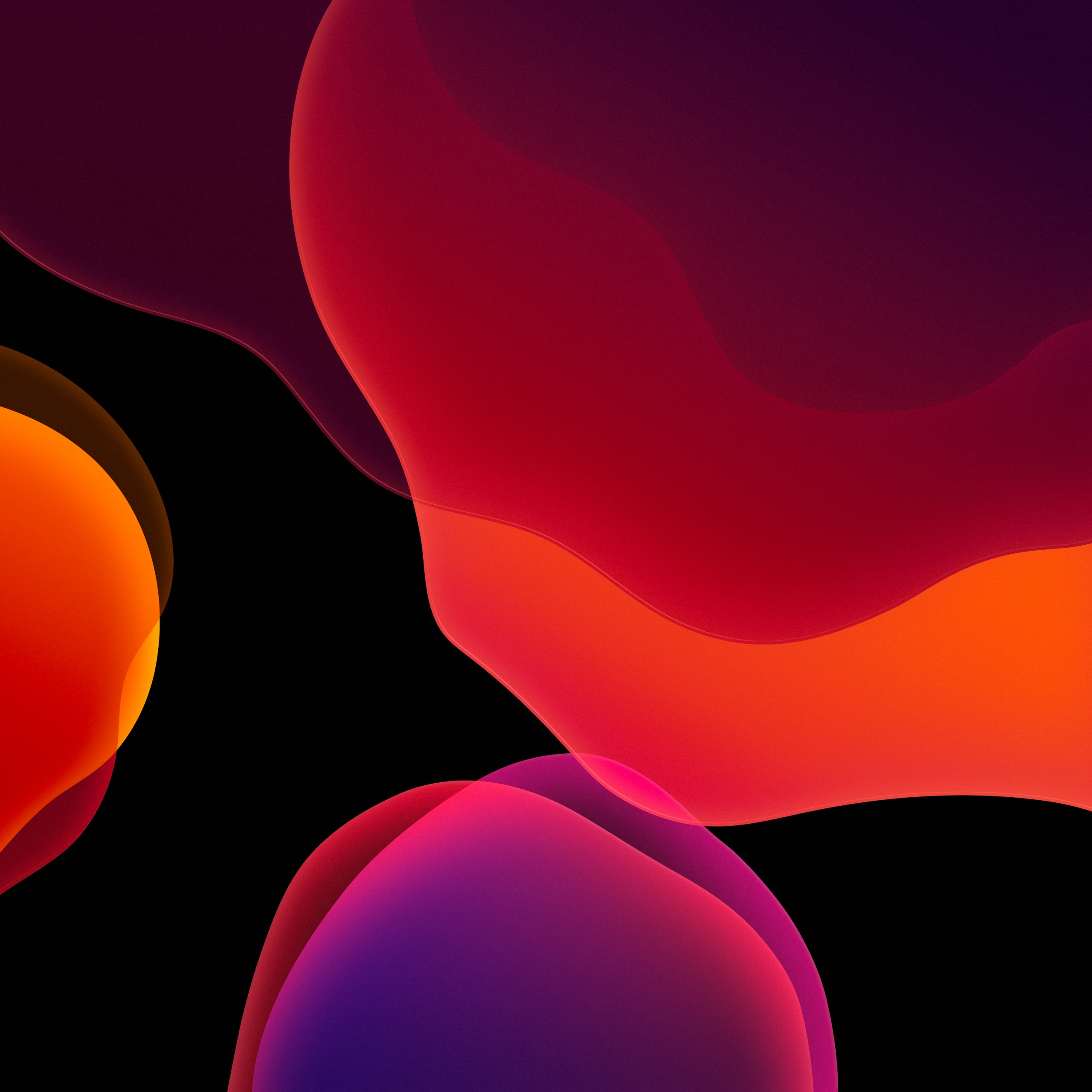Forme fluide astratte rosse e viola, 2560x2560 2K+, Monitor Gaming