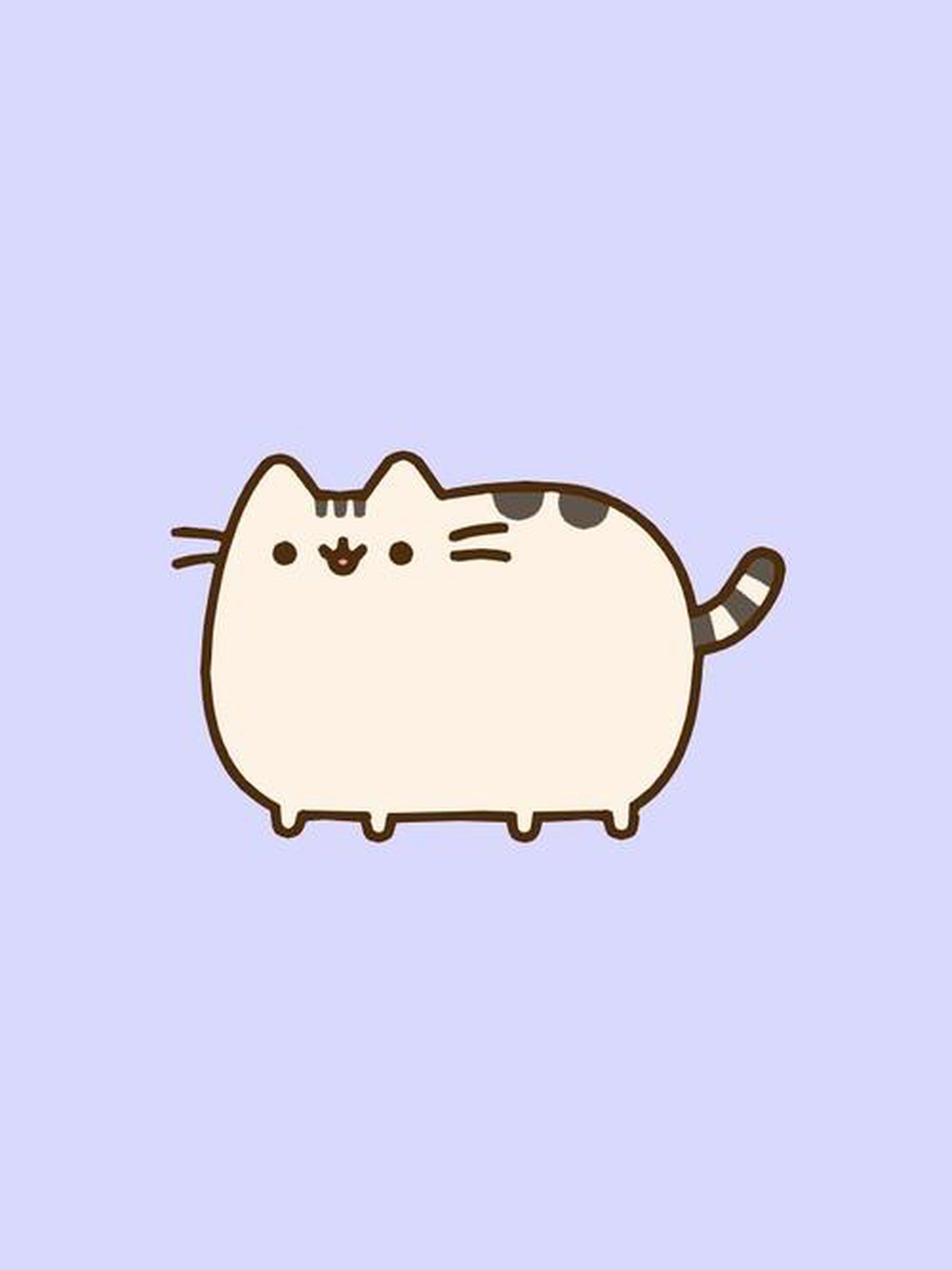 Gatto Pusheen paffuto, 1668x2224 Verticale, iPad Air