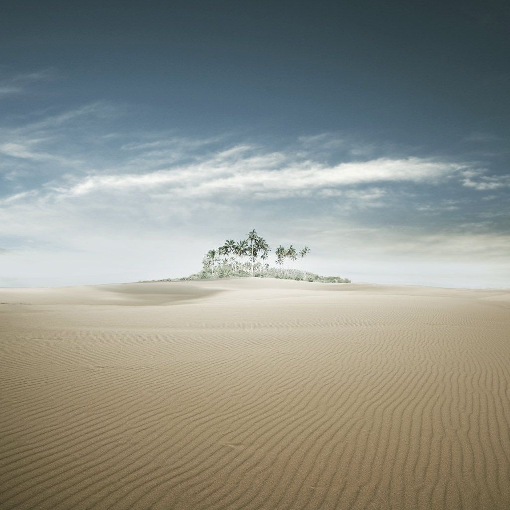 Isola con palme nel deserto, sfondi iPad, 1024x1024 HD, iPad Air