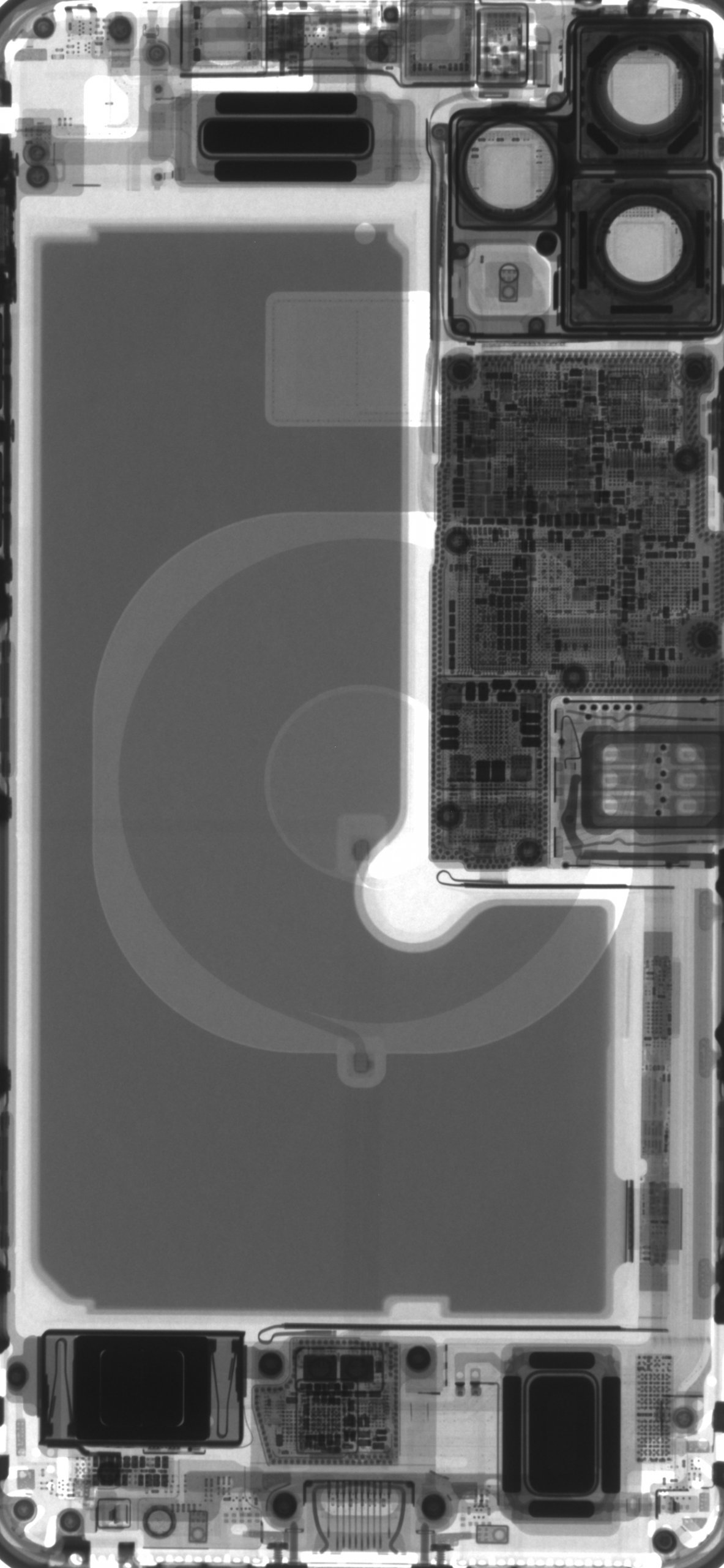 Radiografia componenti iPhone, 1183x2560 Full HD Verticale, iPhone Pro