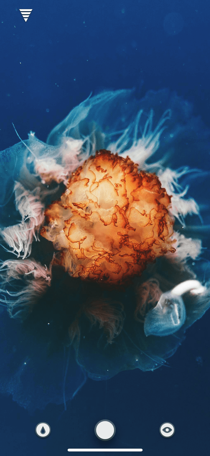 Medusa arancione oceano blu, sfondi iPhone, 670x1450 Verticale, iPhone Air