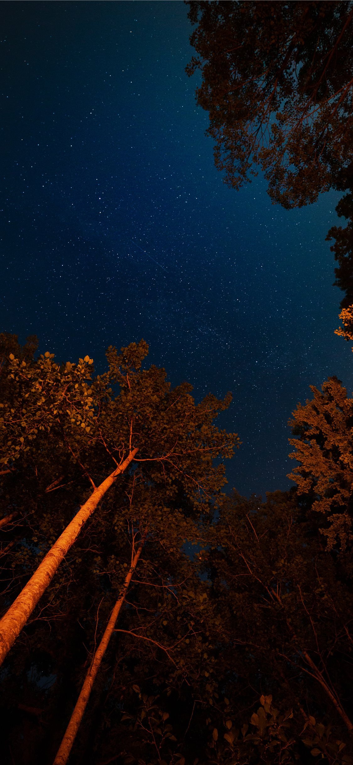 Cielo notturno stellato foresta lago, 1080x2280 Verticale, iPhone Plus