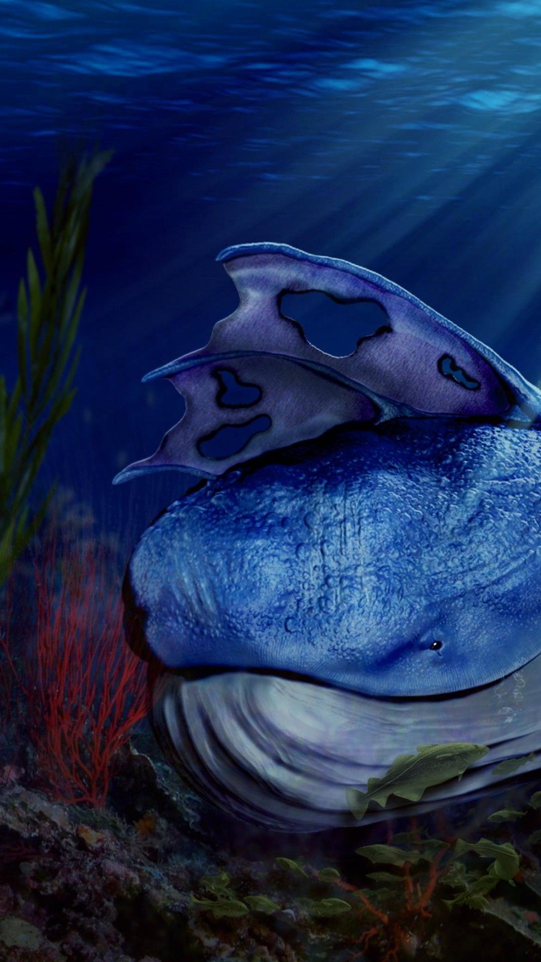 balena blu subacquea, 1080x1920 Full HD Verticale, iPhone Plus
