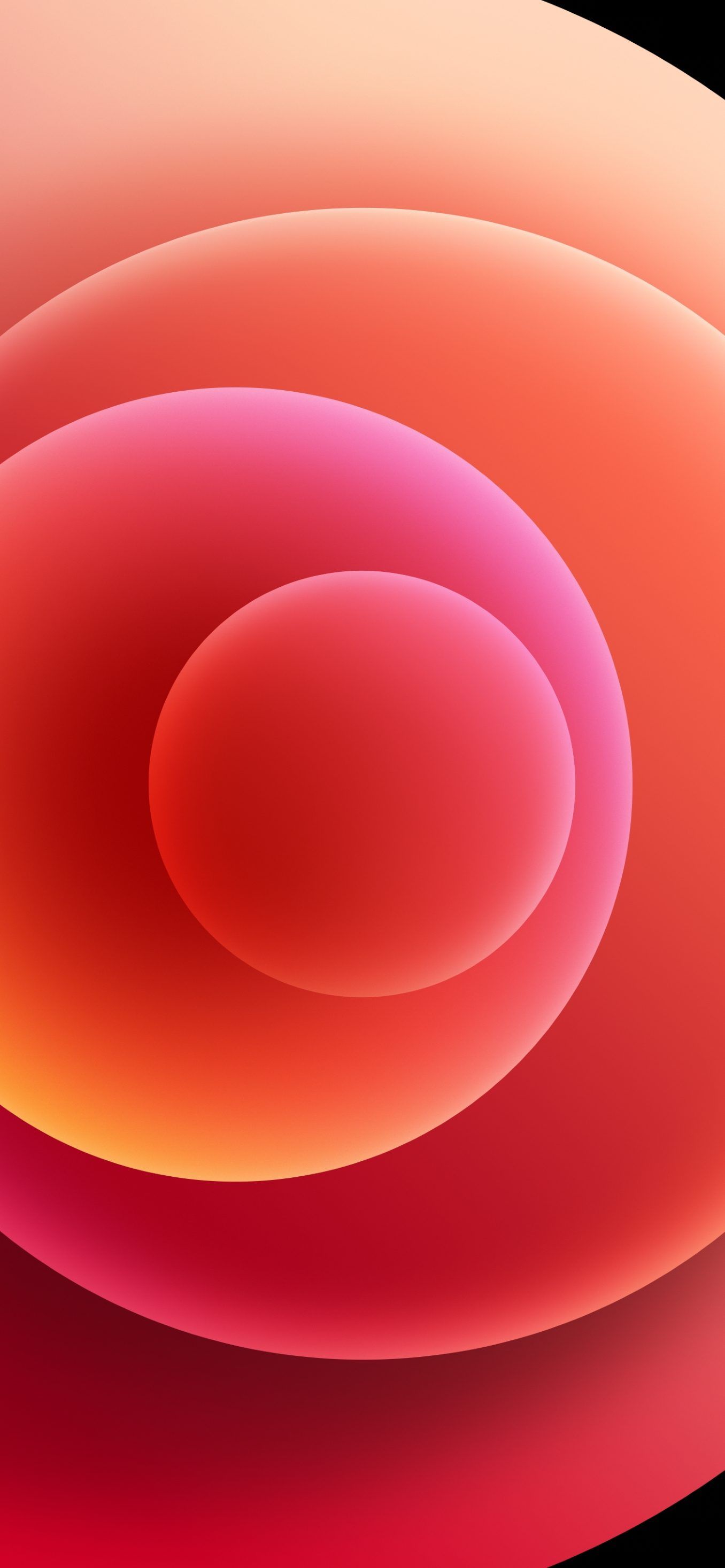 Cerchi concentrici rosa arancio, 1356x2934 Verticale, iPhone Plus