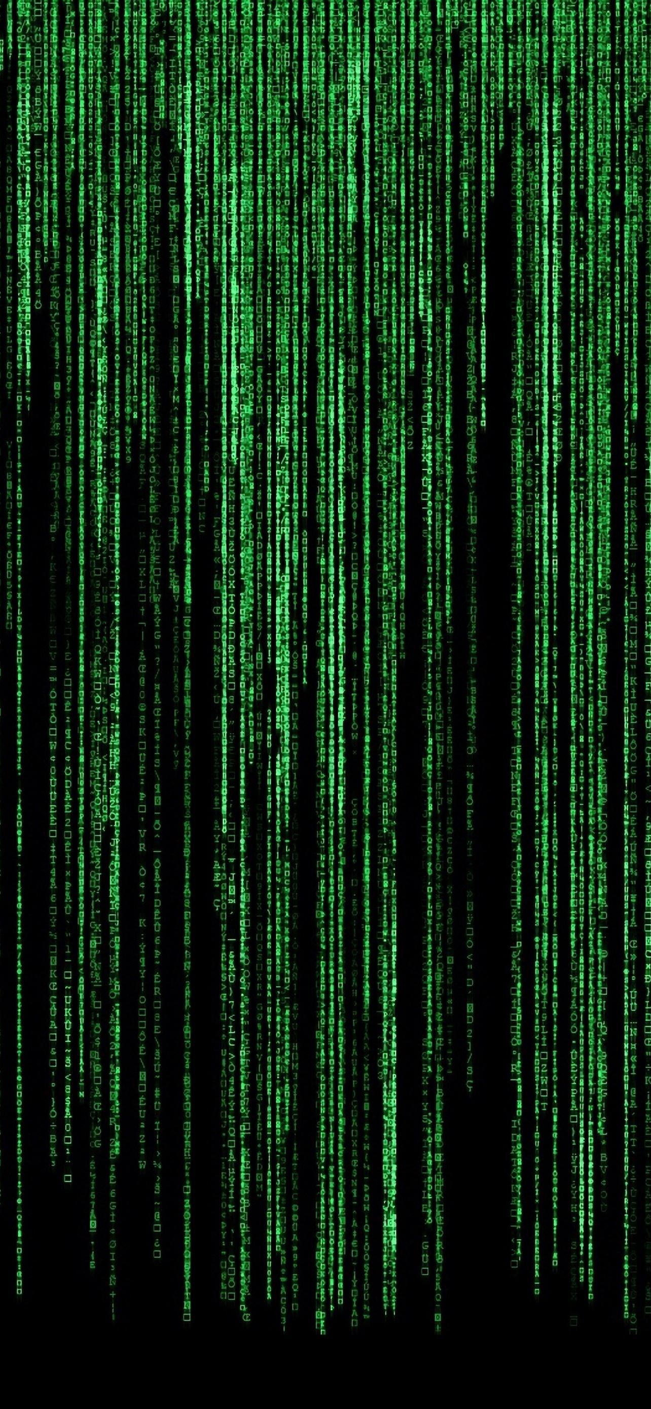 Matrix codice verde digitale, 1284x2778 Verticale, iPhone Plus