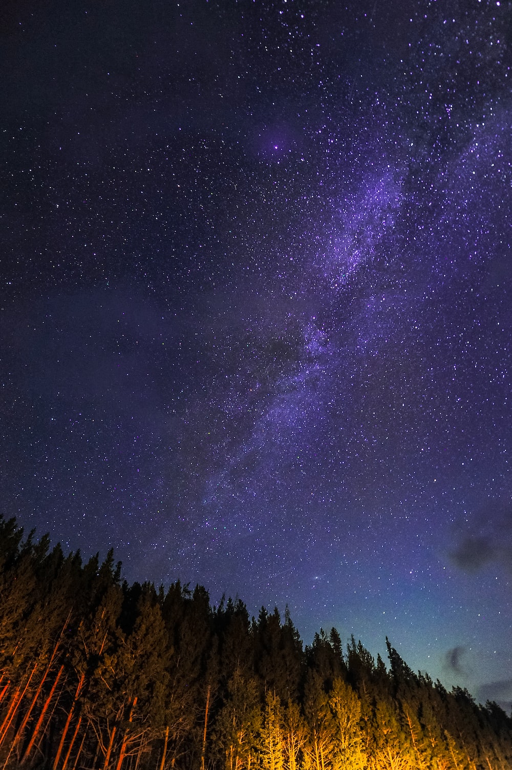 Via Lattea sopra foresta notturna, sfondi 4K, 1000x1502 Verticale, iPhone Pro