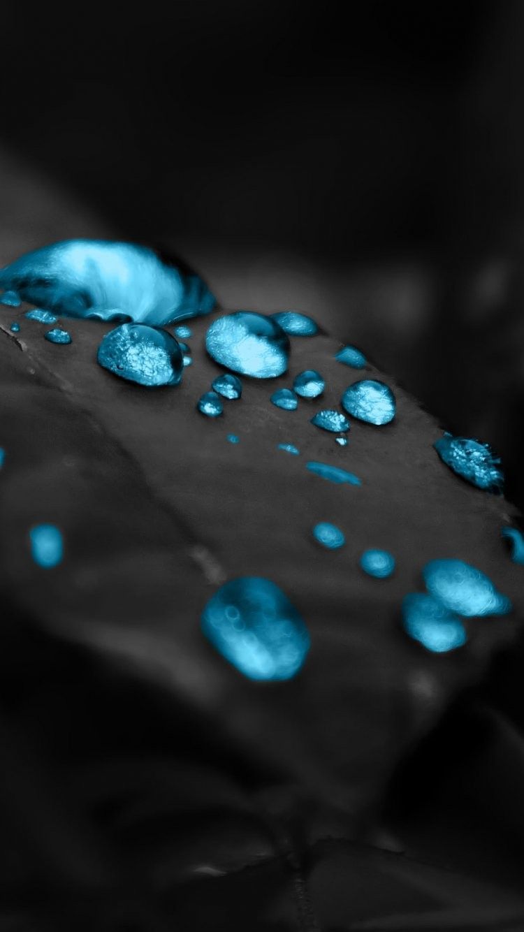 Gocce d'acqua blu foglia, 750x1334 Full HD Verticale, iPhone