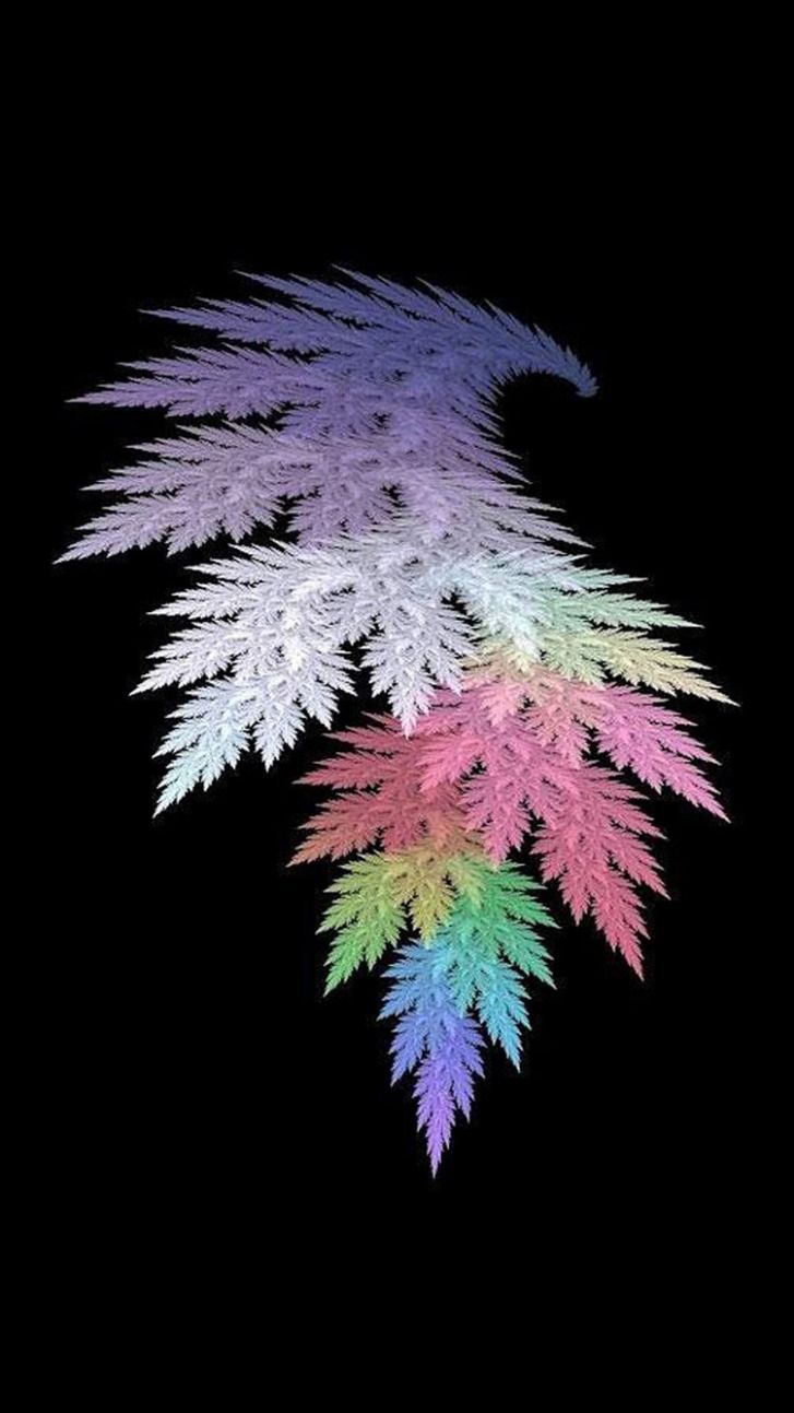 Ala frattale colorata su nero, 727x1293 Full HD Verticale, iPhone Pro
