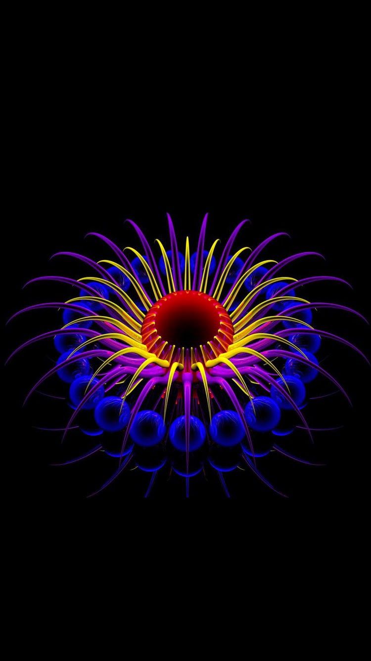 Fiore frattale astratto colorato, 750x1334 Full HD Verticale, iPhone Pro Max