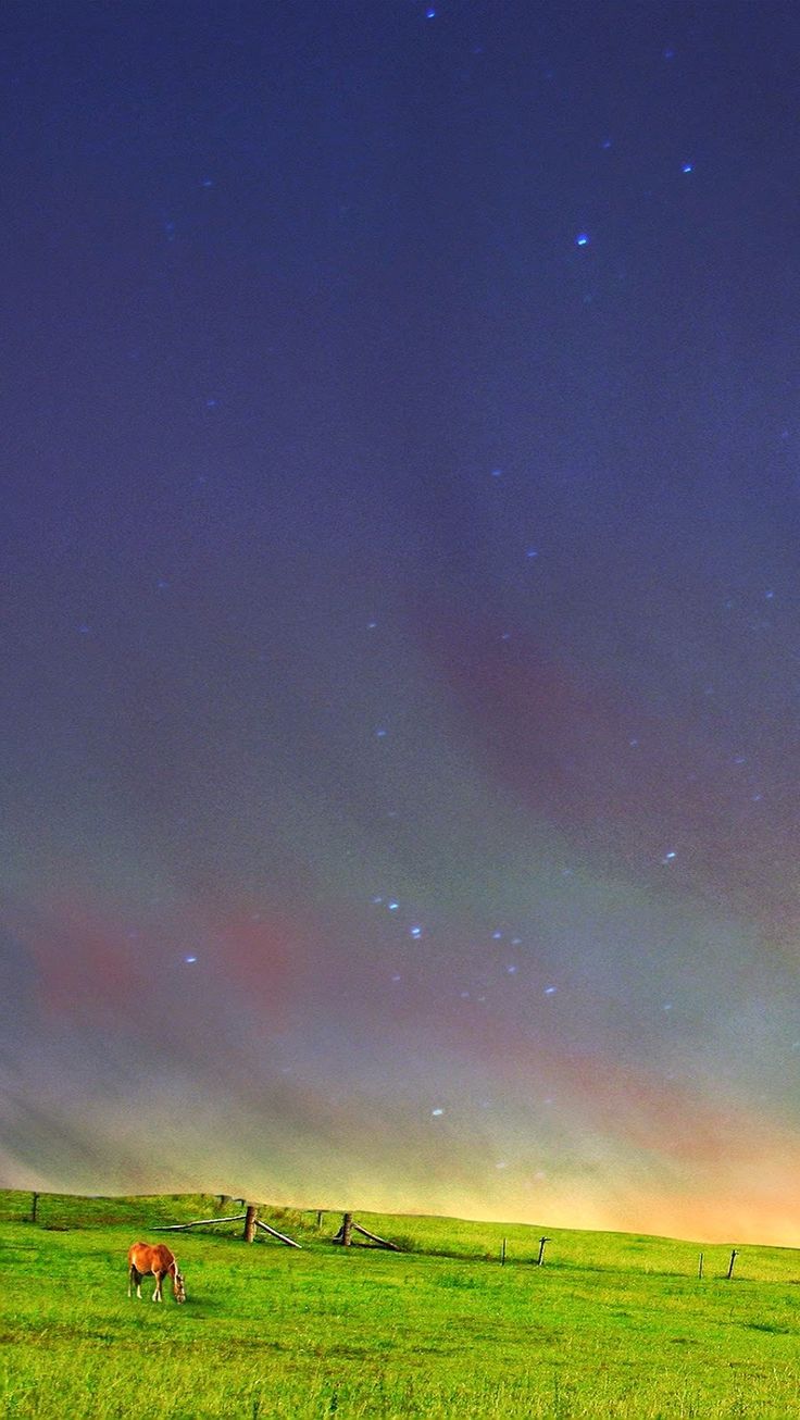 Prateria con cielo stellato, 736x1306 Full HD Verticale, iPhone Pro