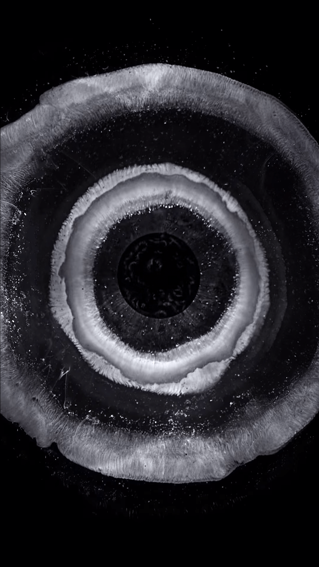 Cerchi astratti bianco e nero, 1080x1920 Verticale, iPhone Air