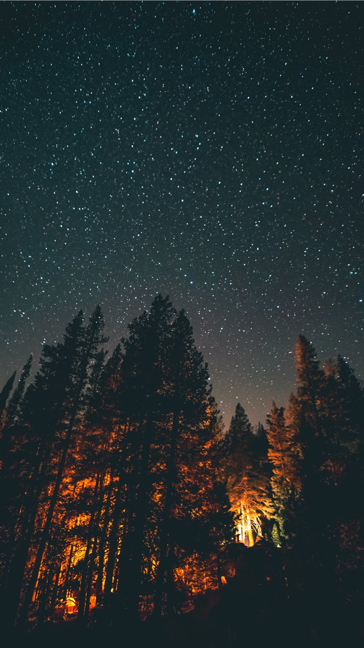 foresta notturna con stelle, 750x1334 Verticale, iPhone