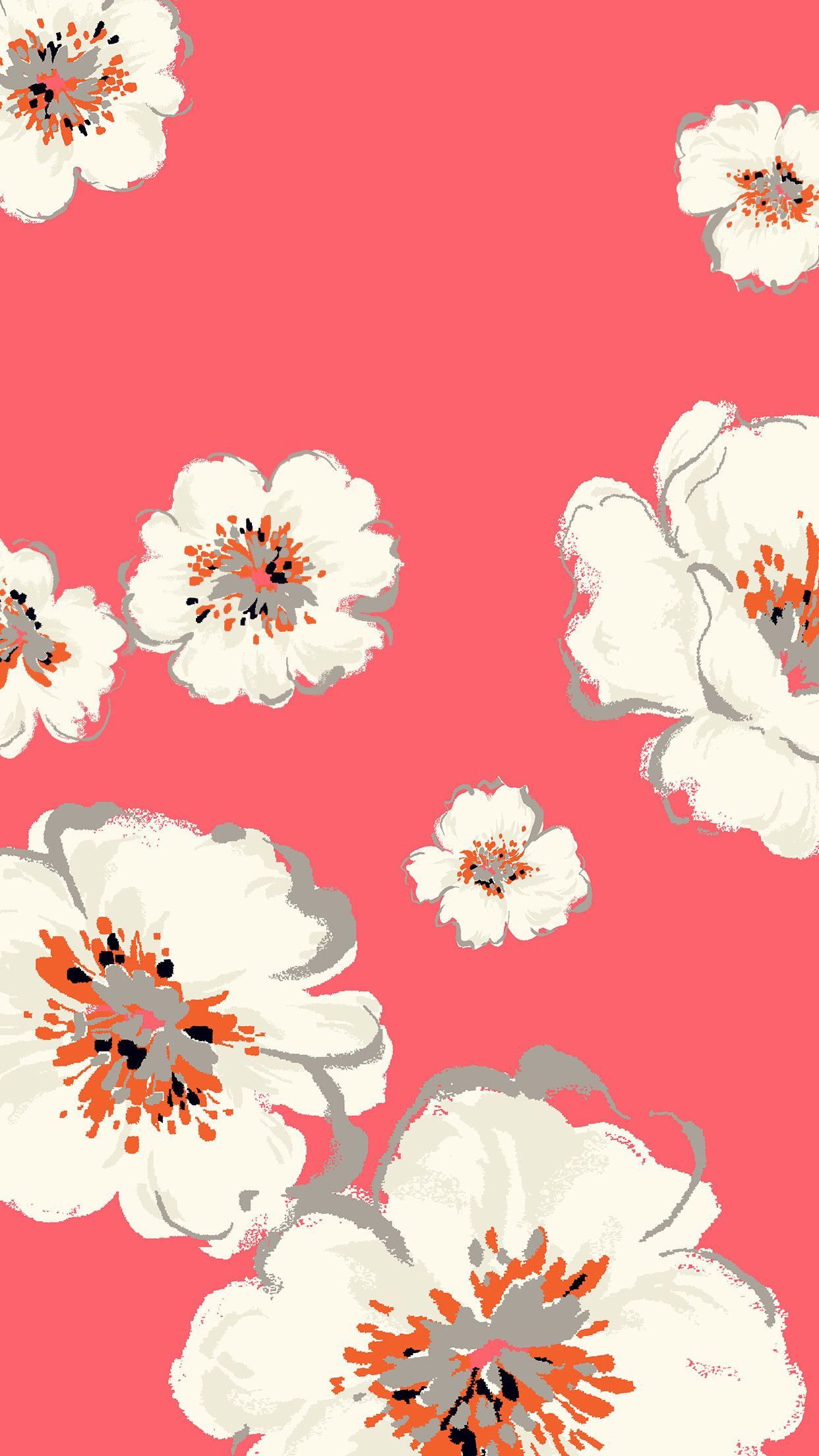 Fiori bianchi sfondo rosa, 1242x2208 Full HD Verticale, iPhone Air