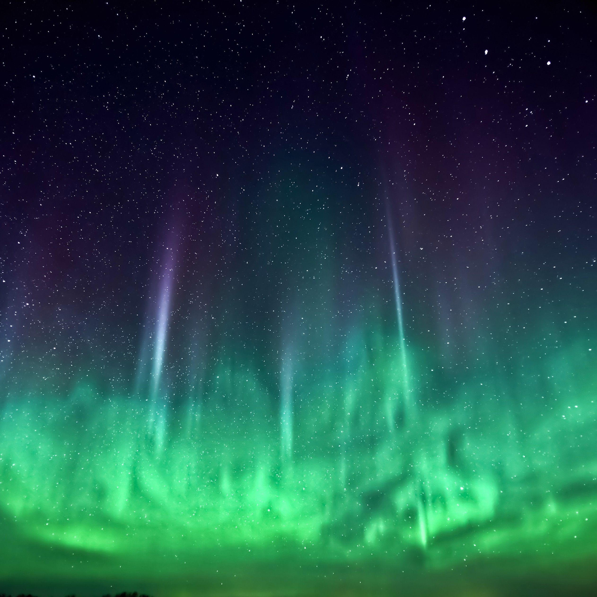 Aurora boreale verde notturna, 2524x2524 Hi-Res, Desktop